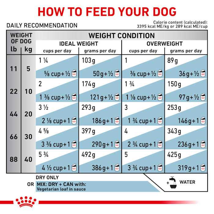 Veterinary Diet Canine Vegetarian Dry Dog Food K460467