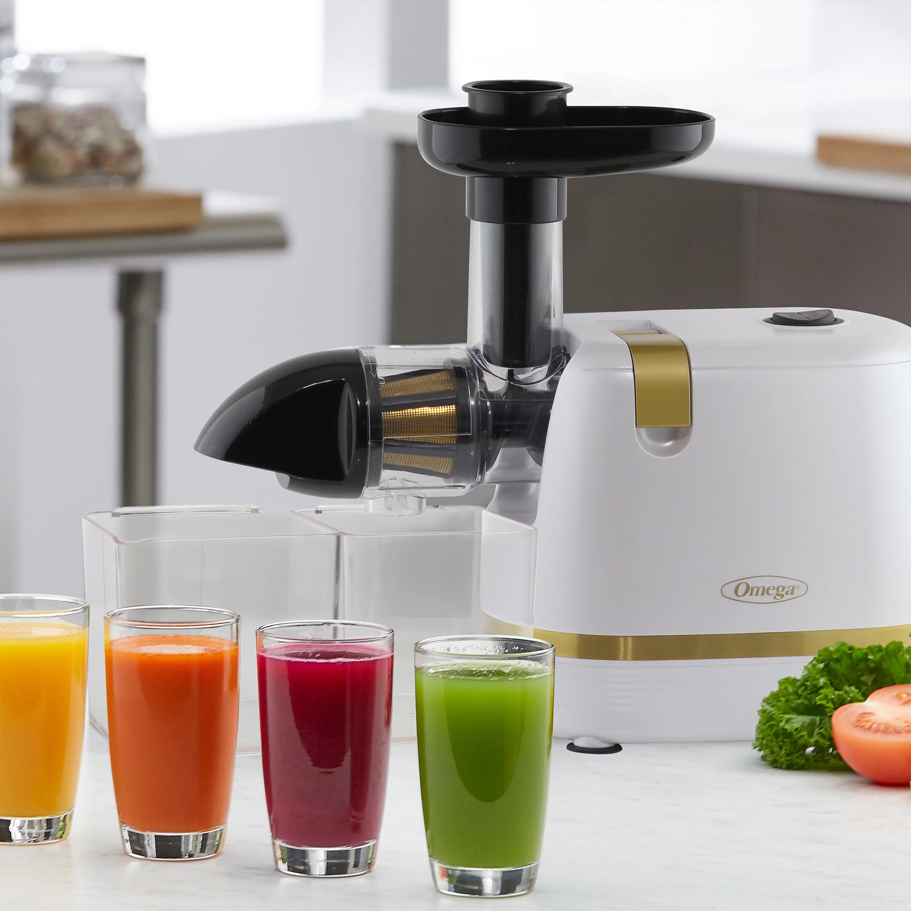 White Compact Masticating Juicer B876868