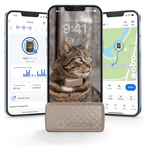 Brown GPS Cat Tracker with Breakaway Collar A4256