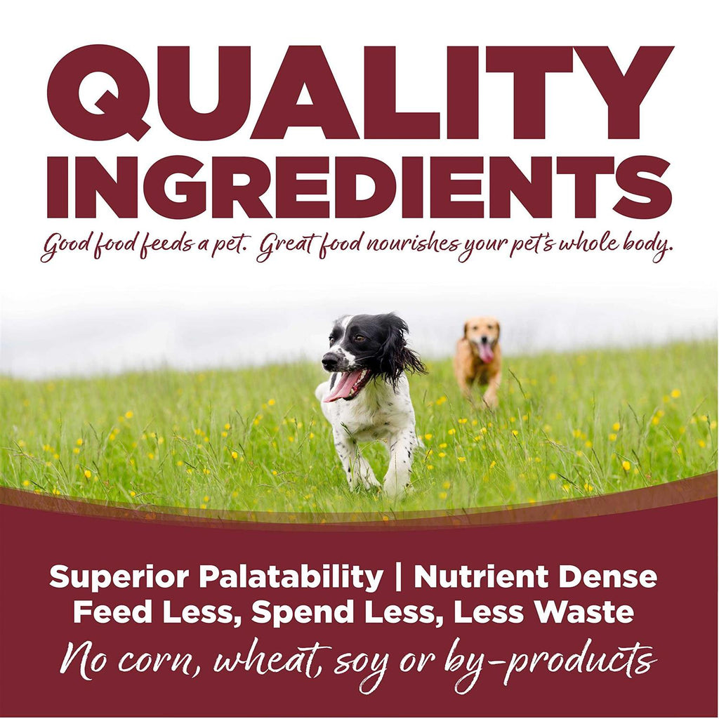 Beef Rice Dry Dog Food D453212