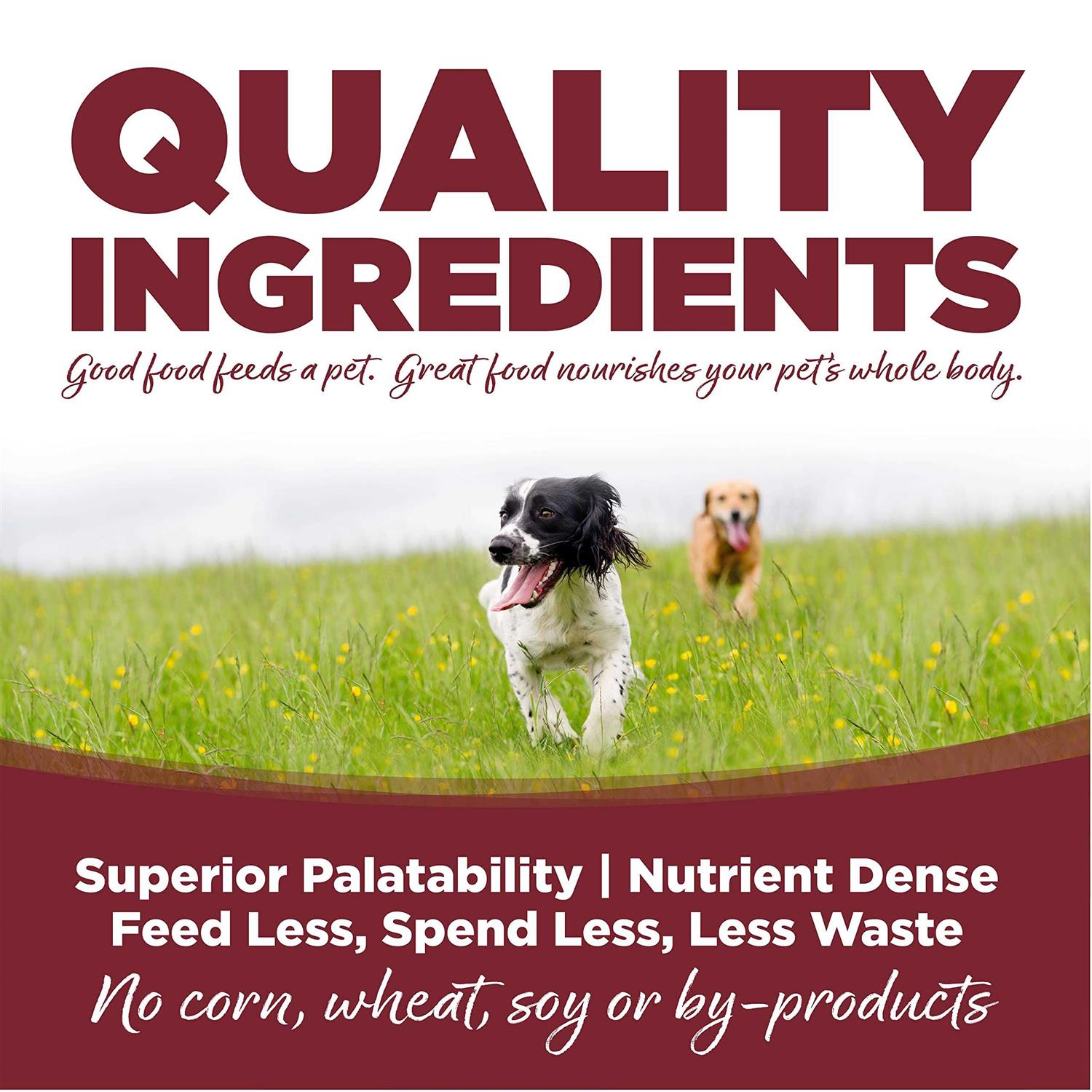 Beef Rice Dry Dog Food D453212