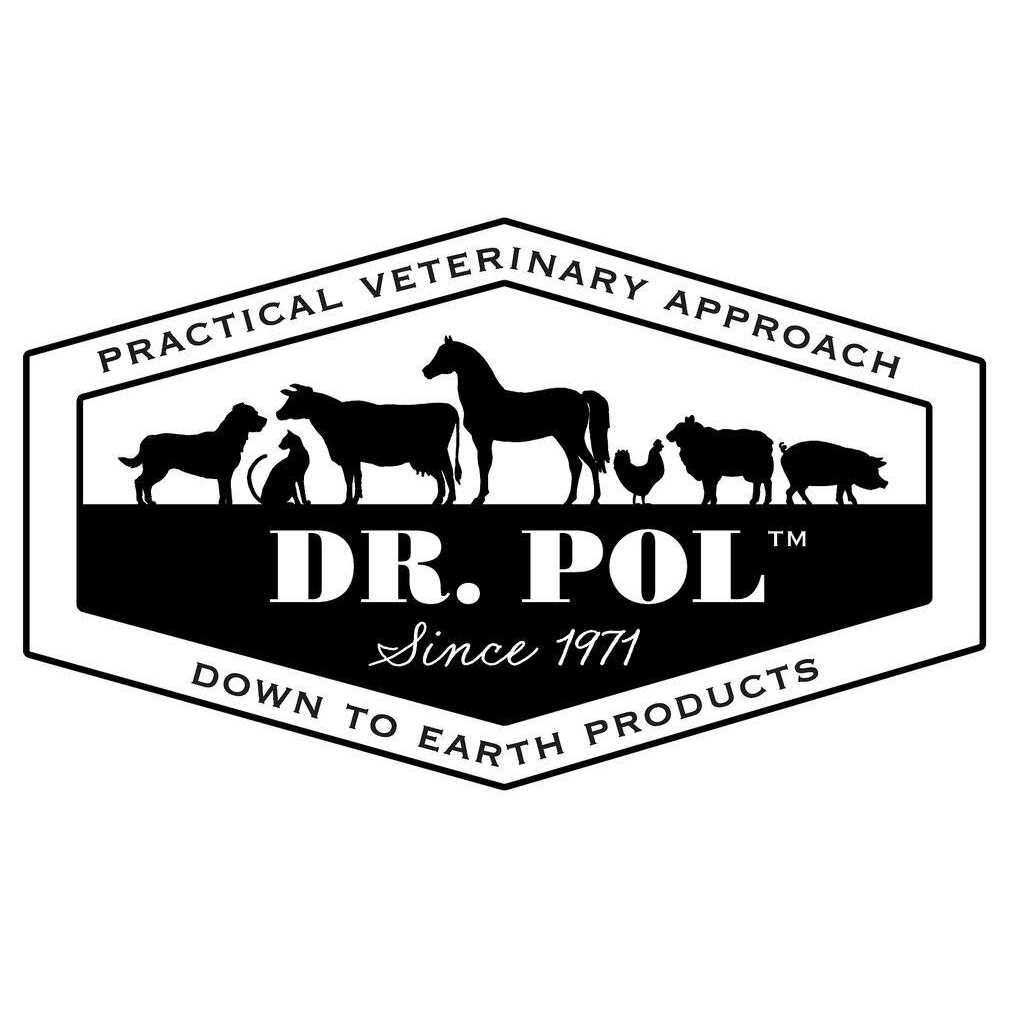 Grain-Free Dog Food B8564