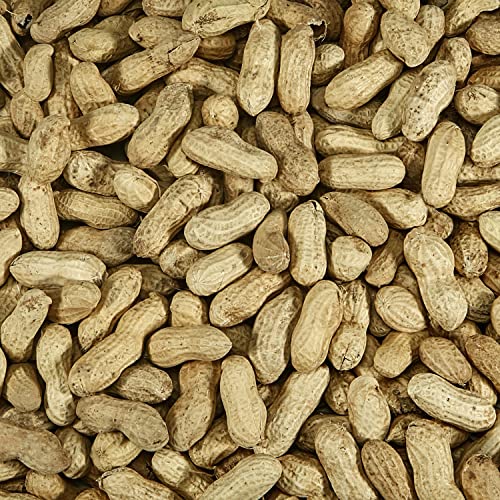Two 5 Pound Bags Peanuts in Shell for Wild Birds B758923