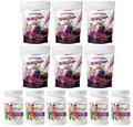 6-Month Supply Chewable Multivitamin with Iron and Calcium Citrate L976