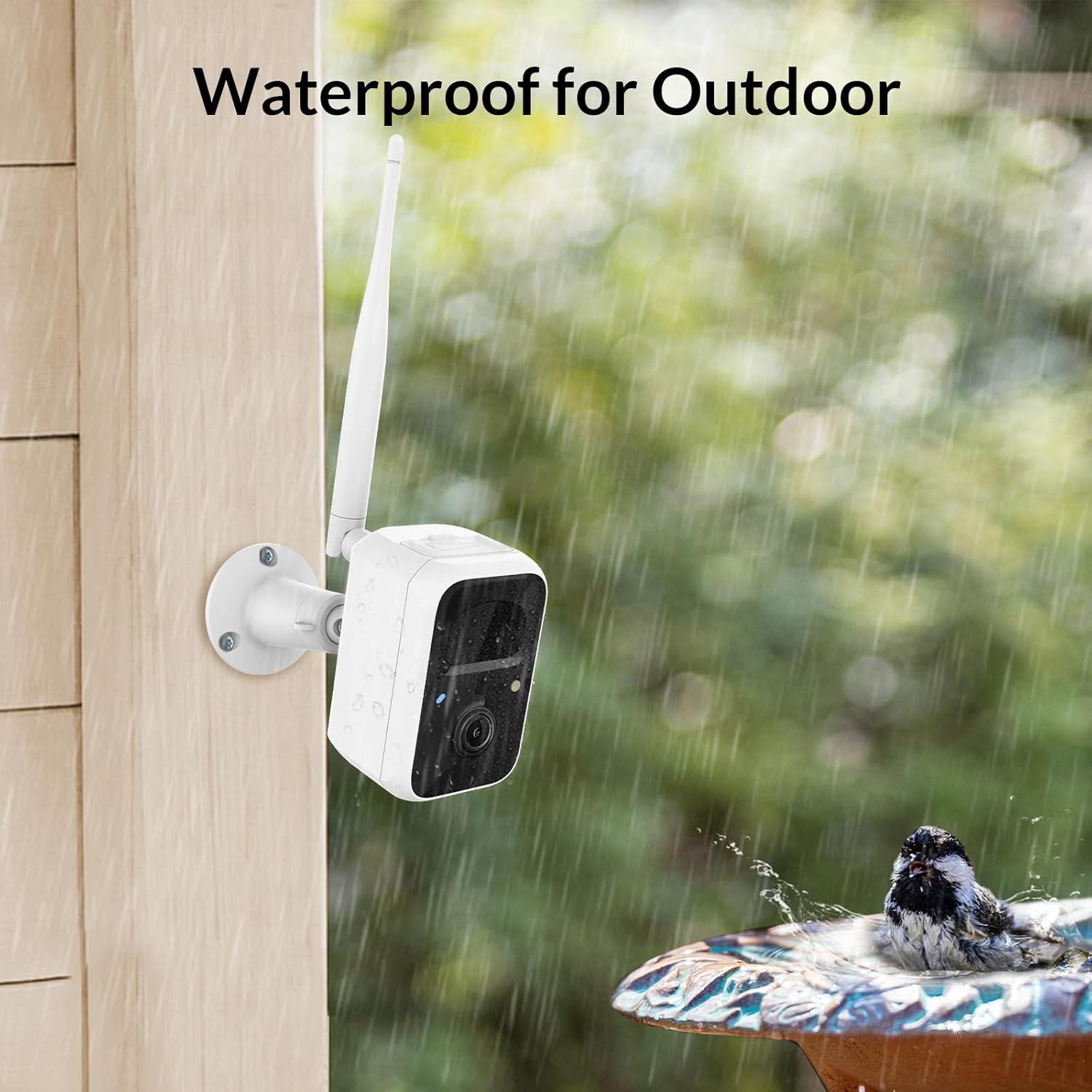 Smart Bird Feeder Camera with Solar Camera Lite F923748