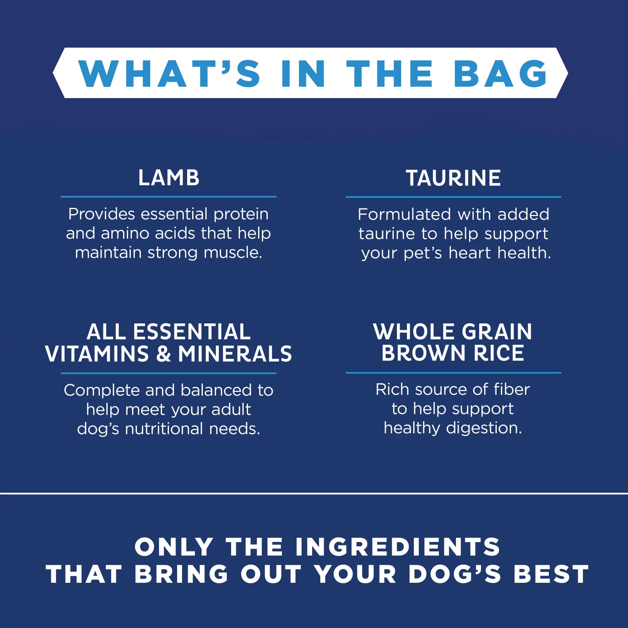 4 Pounds Limited Ingredient Dry Dog Food F3884
