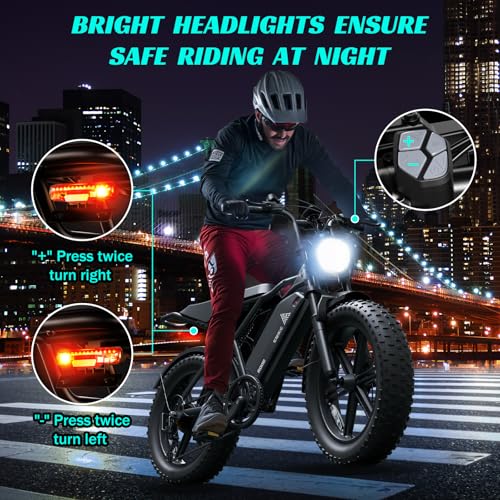 20" Fat Tire All-Terrain Electric Bike 1500W Peak 48V 15/25AH S282600