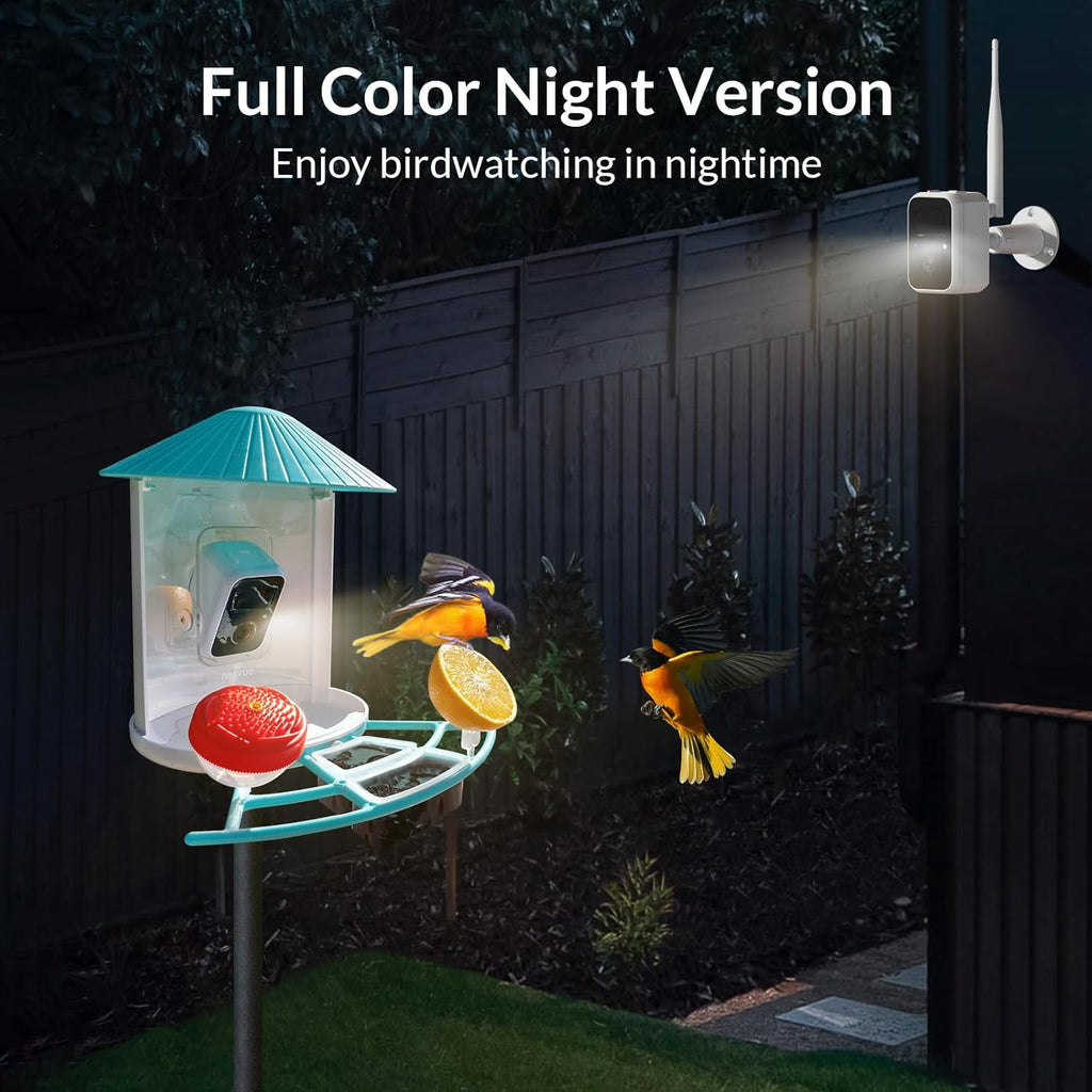 Smart Bird Feeder Camera with Solar Camera Lite F923748