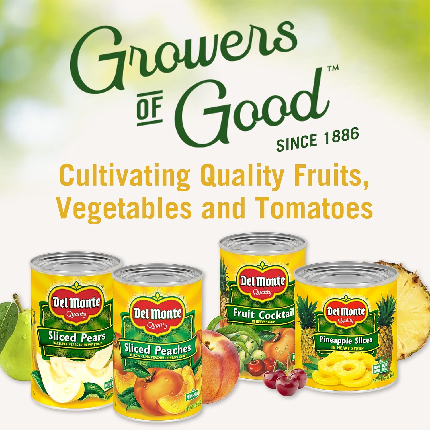 12 Pack 15 oz Canned Mixed Fruit in Extra Light Syrup Q884