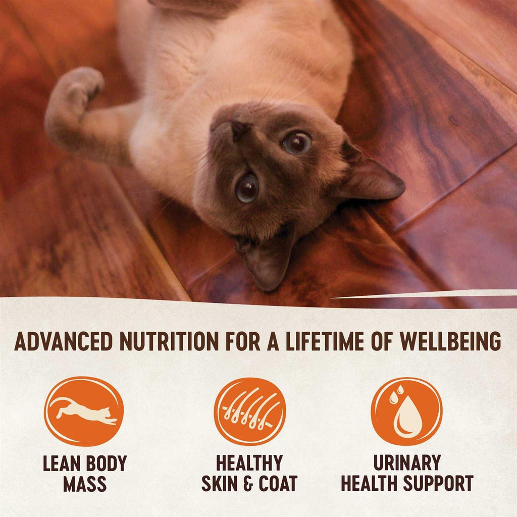Natural Grain-Free Chicken Turkey & Chicken Liver Pate Canned Cat Food X2500