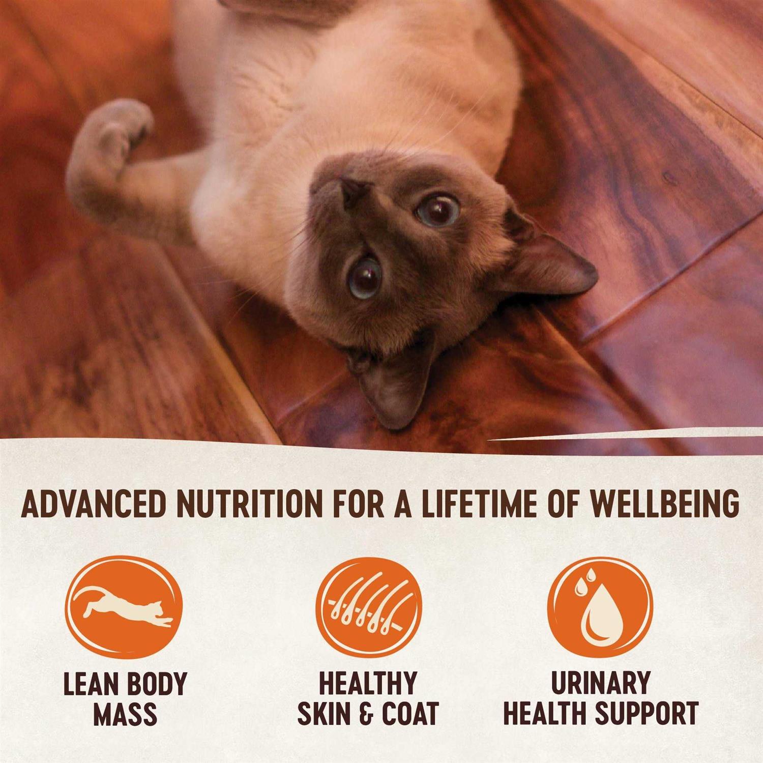Natural Grain-Free Chicken Turkey & Chicken Liver Pate Canned Cat Food X2500