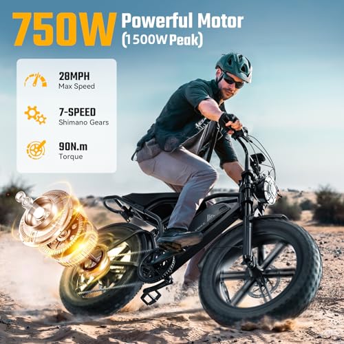 20" Fat Tire All-Terrain Electric Bike 1500W Peak 48V 15/25AH S282600