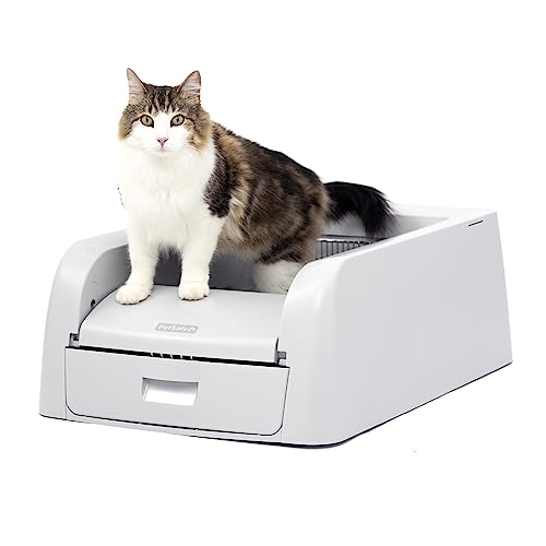 Self-Cleaning Litter Box for Clumping Litter C456596