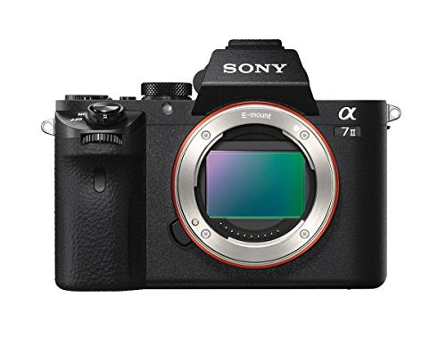 Mirrorless Digital Camera with 28-70mm Lens C58826