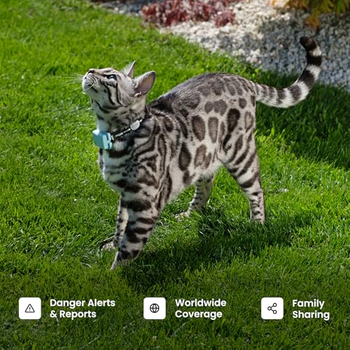 Brown GPS Cat Tracker with Breakaway Collar A4256