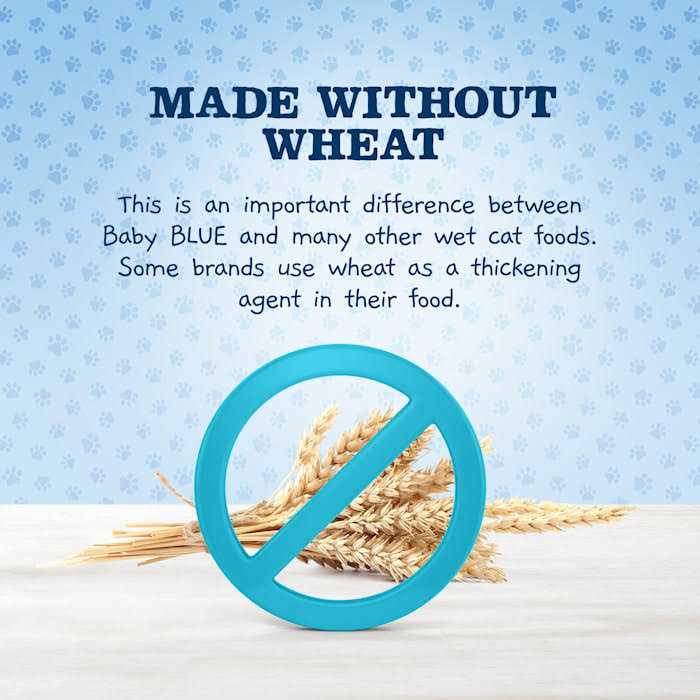 Blue Buffalo Baby Blue Wet Kitten Food Chicken B706626