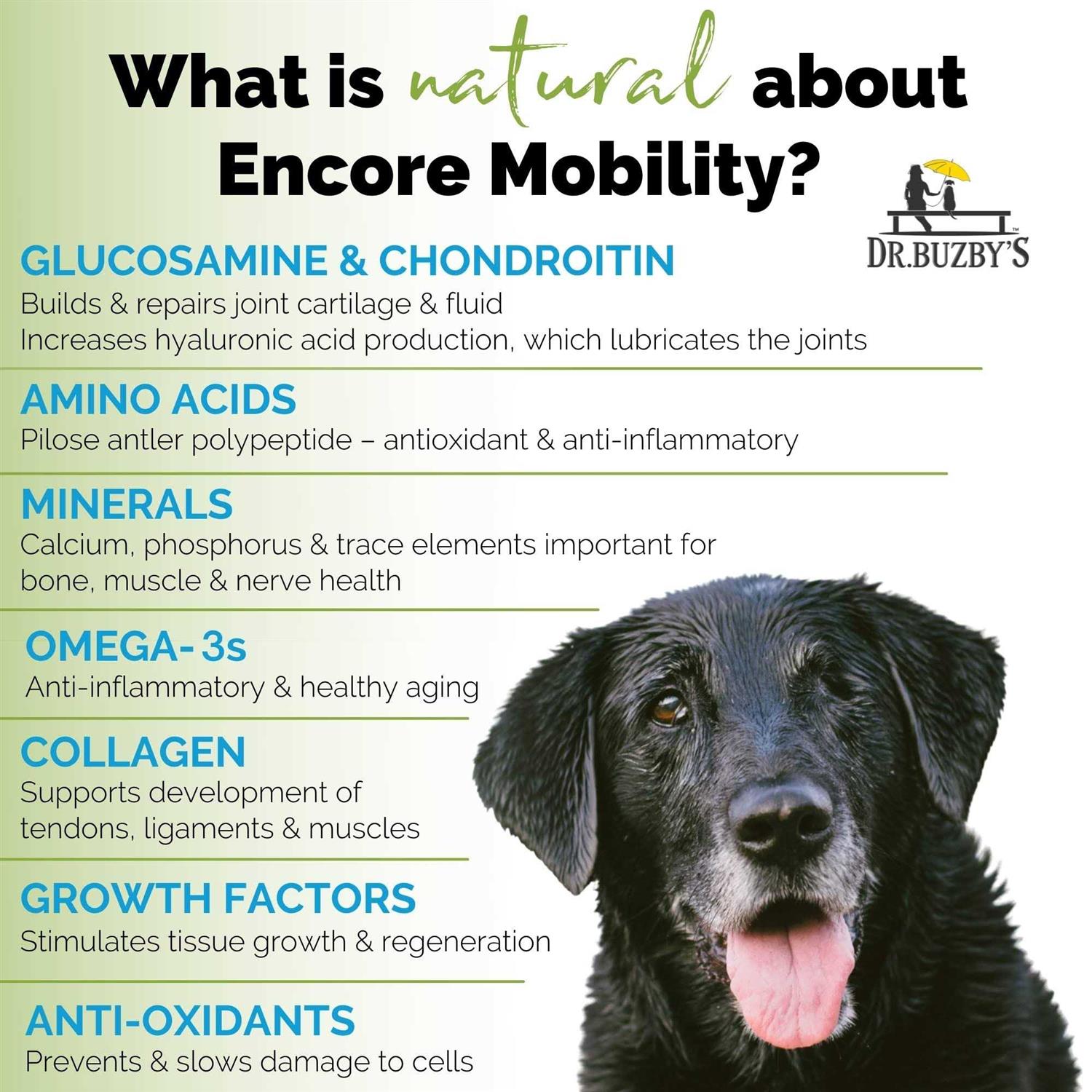 90 Chewable Tablets Hip & Joint Supplement for Senior Dogs S99026