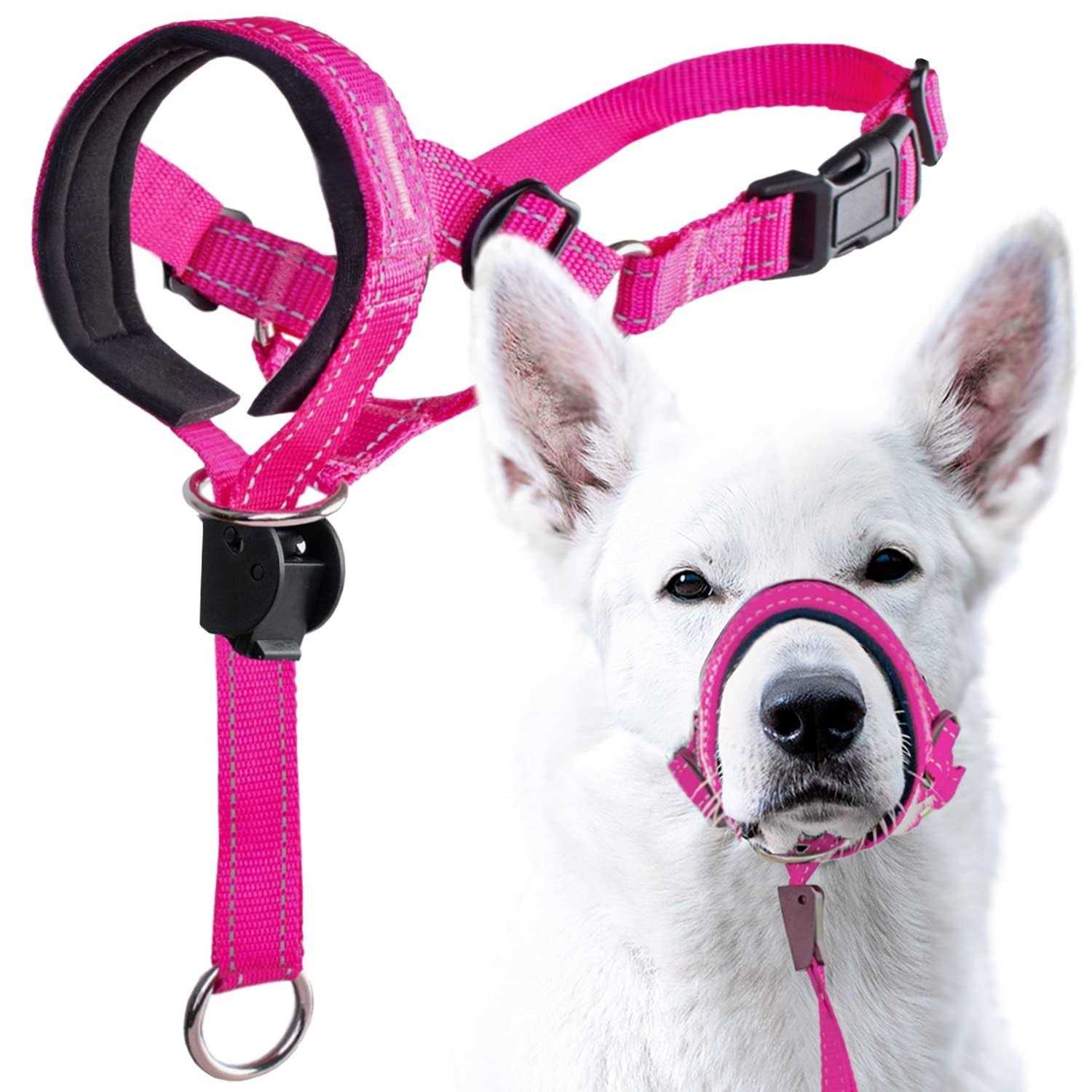 Dog Head Halter with Safety Strap U2534