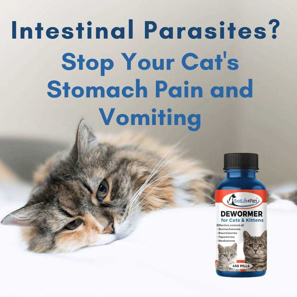 Broad Spectrum Dewormer for Cats and Kittens B89257