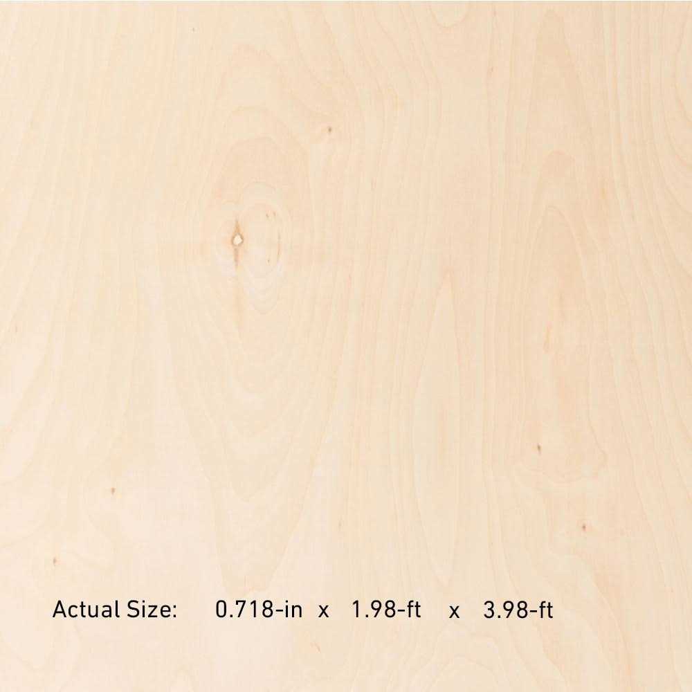 1/2-in x 2-ft x 4-ft Birch Sanded Plywood E49073