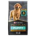 Chicken & Rice Formula Dry Puppy Food Y2058