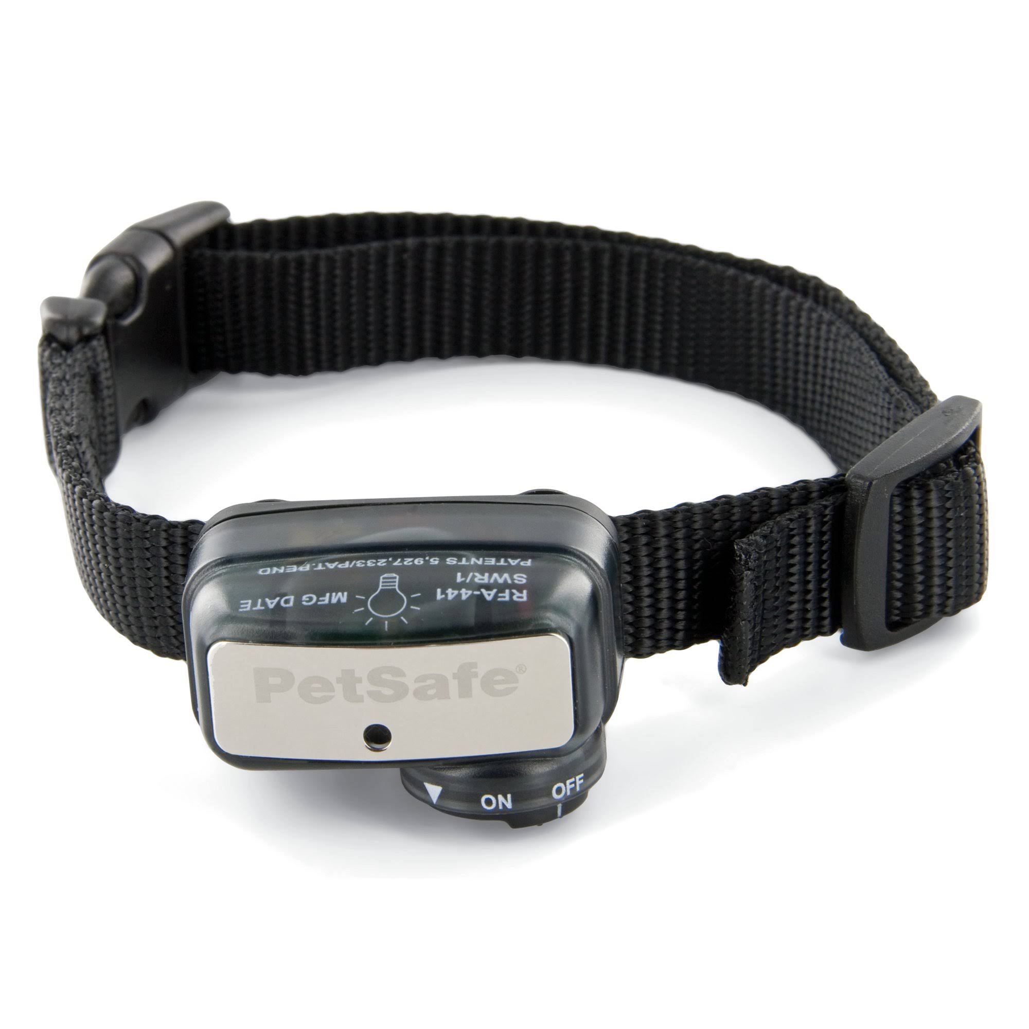Little Dog Bark Control Collar D39848