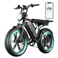 20" Fat Tire All-Terrain Electric Bike 1500W Peak 48V 15/25AH S282600