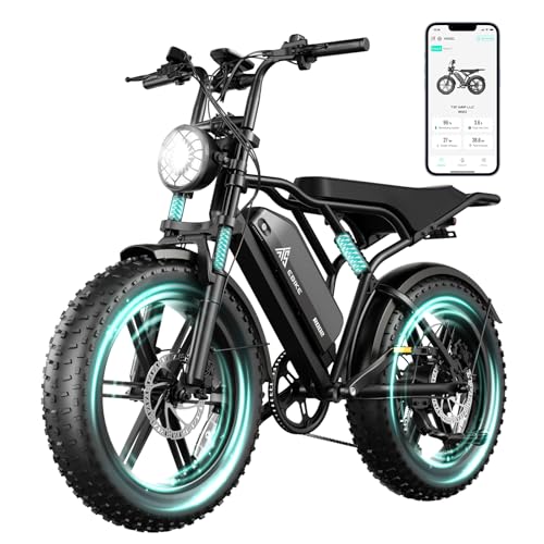 20" Fat Tire All-Terrain Electric Bike 1500W Peak 48V 15/25AH S282600
