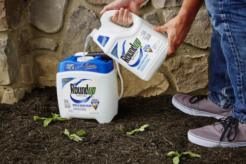 1.25 gal. Weed & Grass Killer Refill M8911