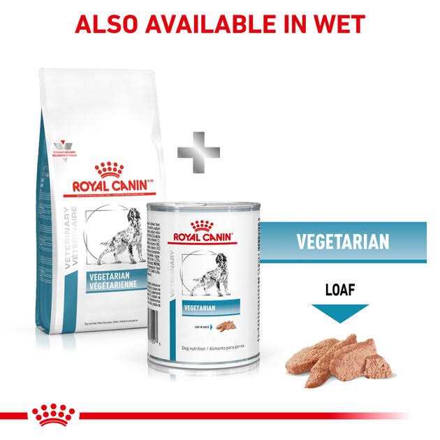 Veterinary Diet Canine Vegetarian Dry Dog Food K460467
