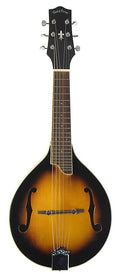Octave Mandolin L35363