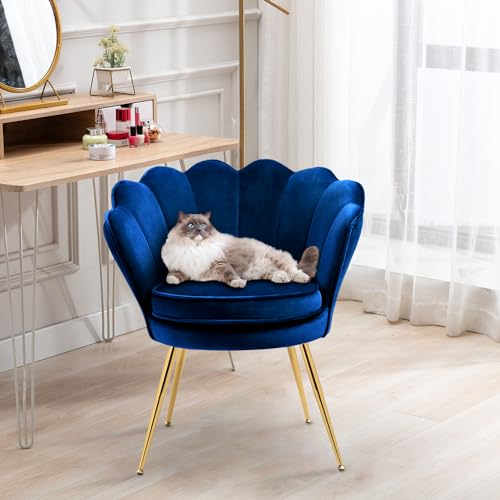 Grey Velvet Set of 2 Armchair P6216