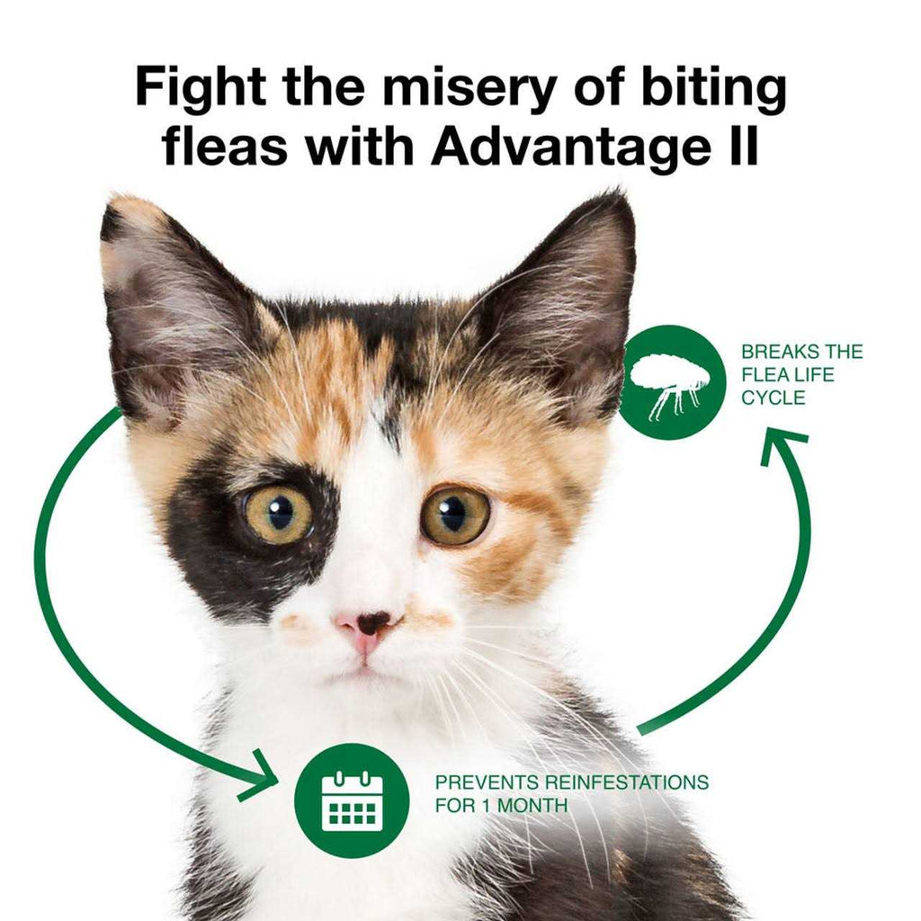 Advantage II Flea Treatment Cats G505