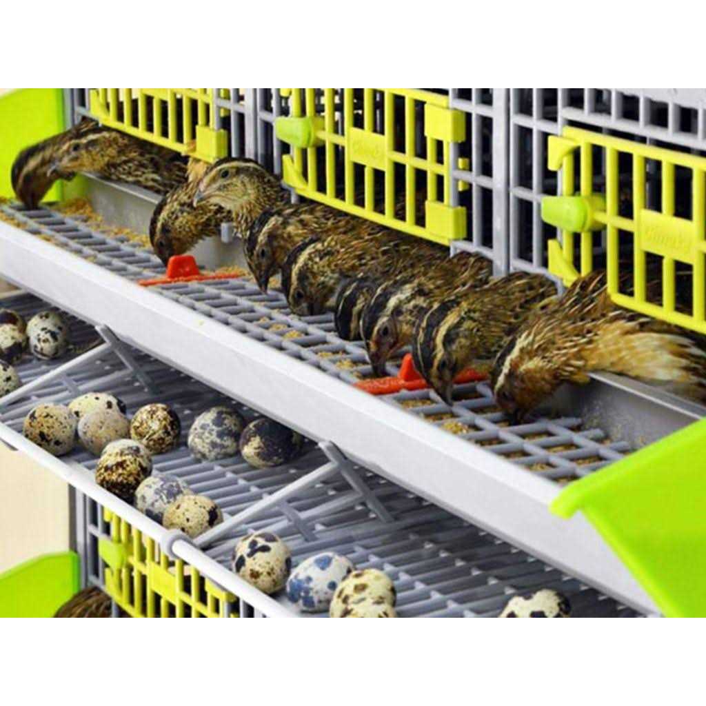 3 Layer Stackable Quail Cage Q435