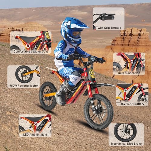 36V 750W Electric Dirt Bike with 16" Pneumatic Tires E69981