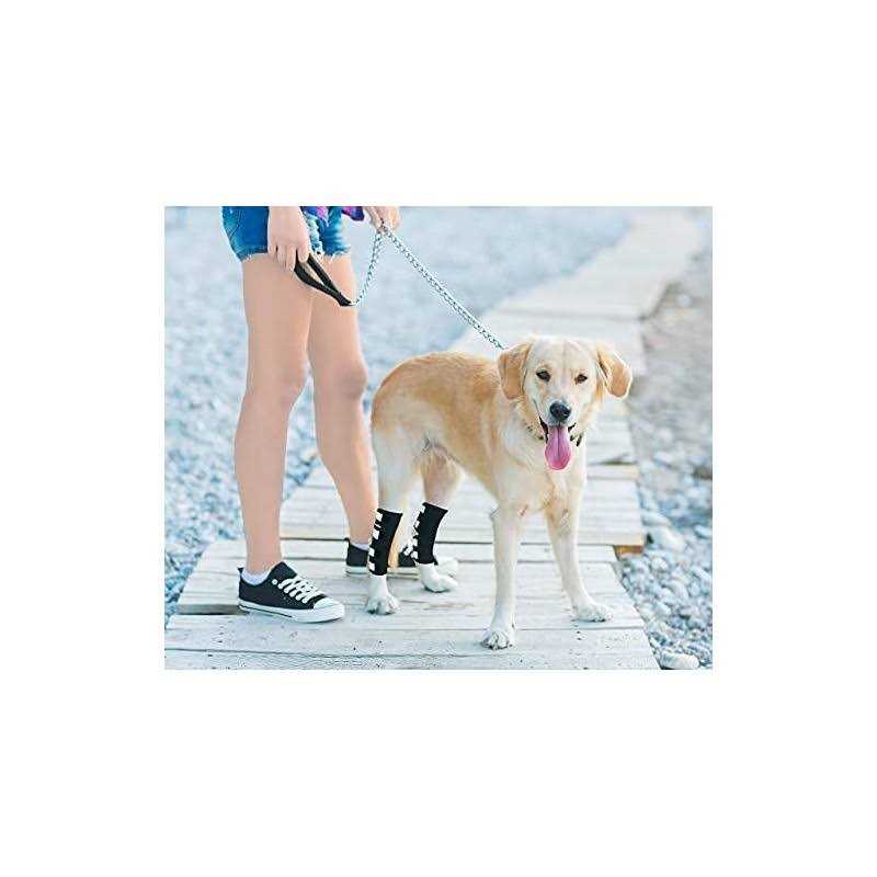 Dog Hind Leg Brace with Safety Reflective Straps F7835