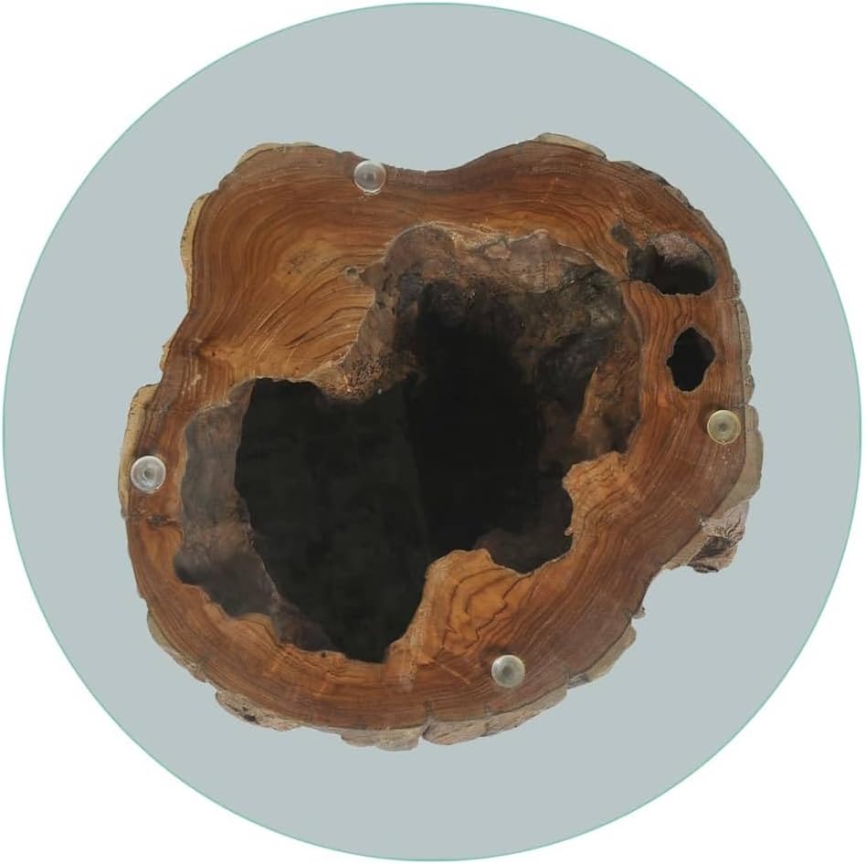 Teak Tree Stump Coffee Table with Tempered Glass Top P15897