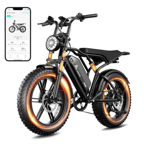 20" Fat Tire All-Terrain Electric Bike 1500W Peak 48V 15/25AH S282600