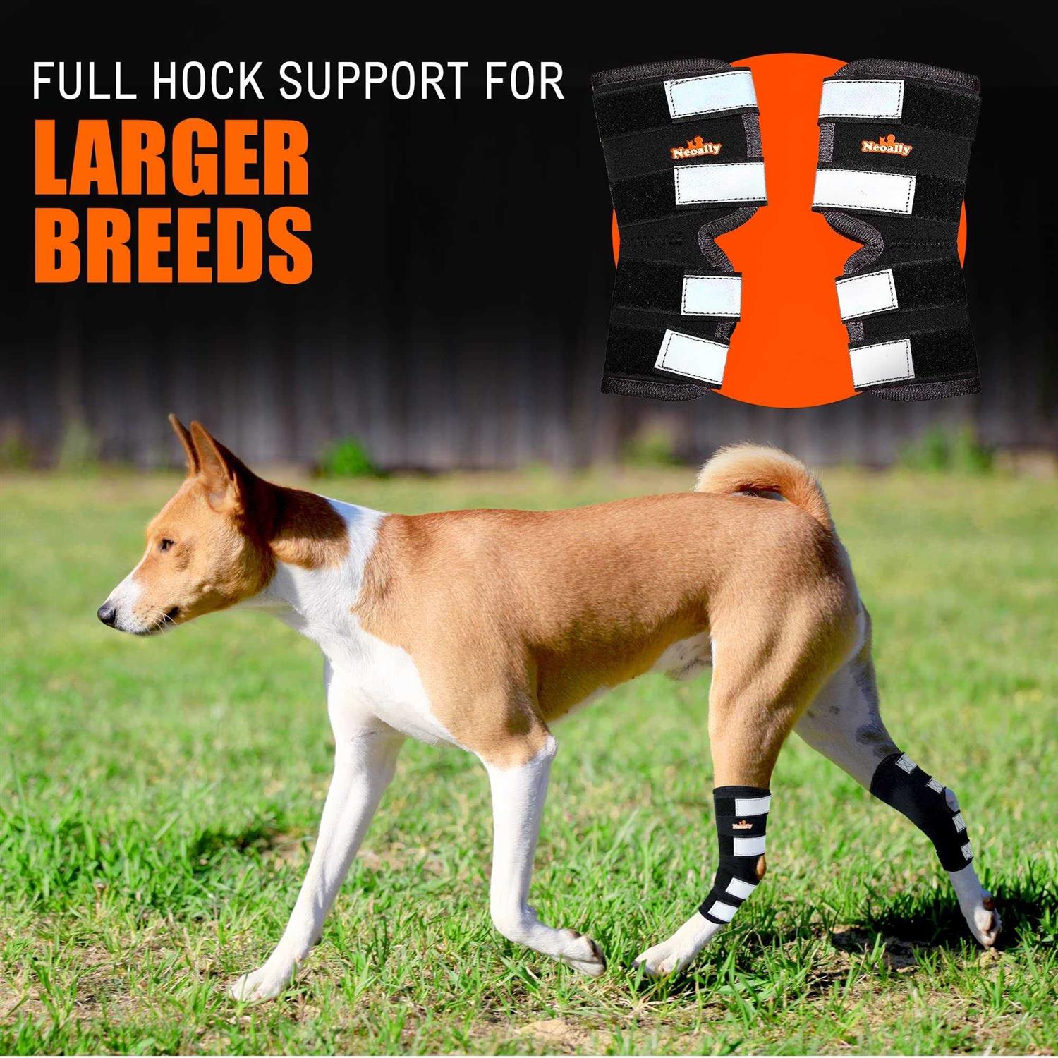 Dog Hind Leg Brace with Safety Reflective Straps F7835