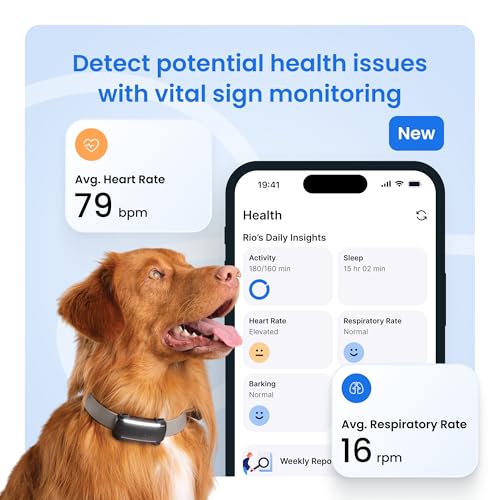 Black Dog GPS Tracker with Virtual Fence Z3886