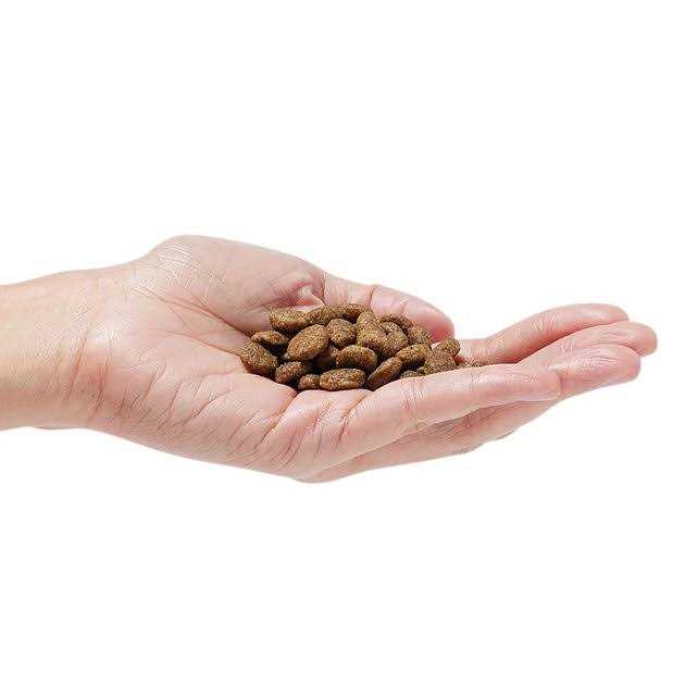 Grain-Free Dog Food B8564