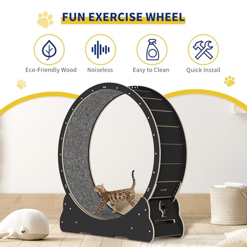 Solid Wood Cat Exercise Wheel with 2 Anti-Scratch Pads V2752