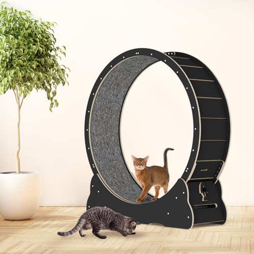 Solid Wood Cat Exercise Wheel with 2 Anti-Scratch Pads V2752