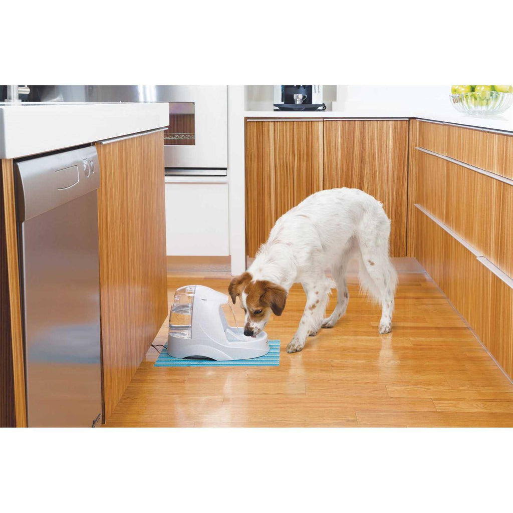 Platinum Pet Fountain B481