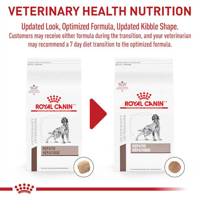 Dry Dog Food Z68427