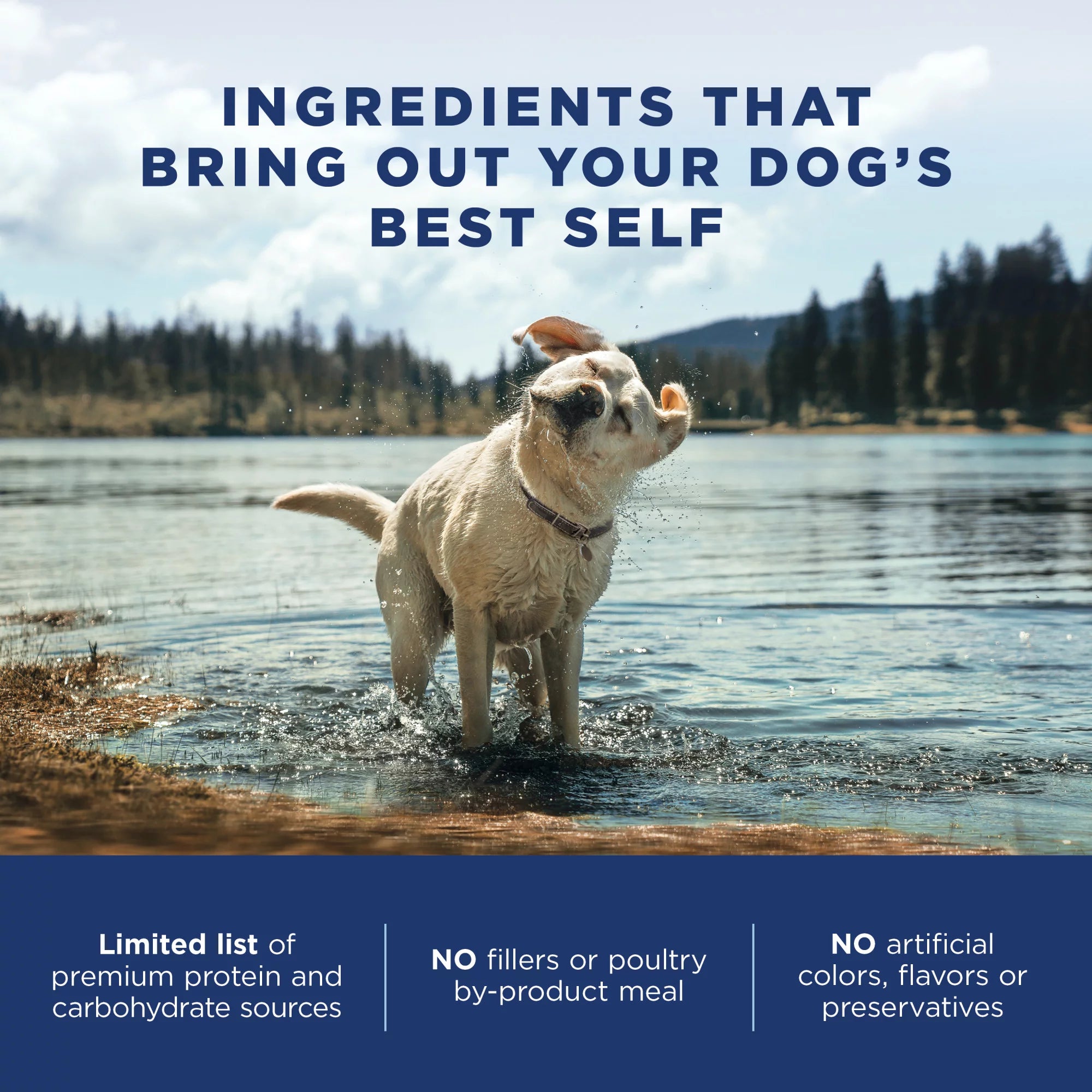 4 Pounds Limited Ingredient Dry Dog Food F3884