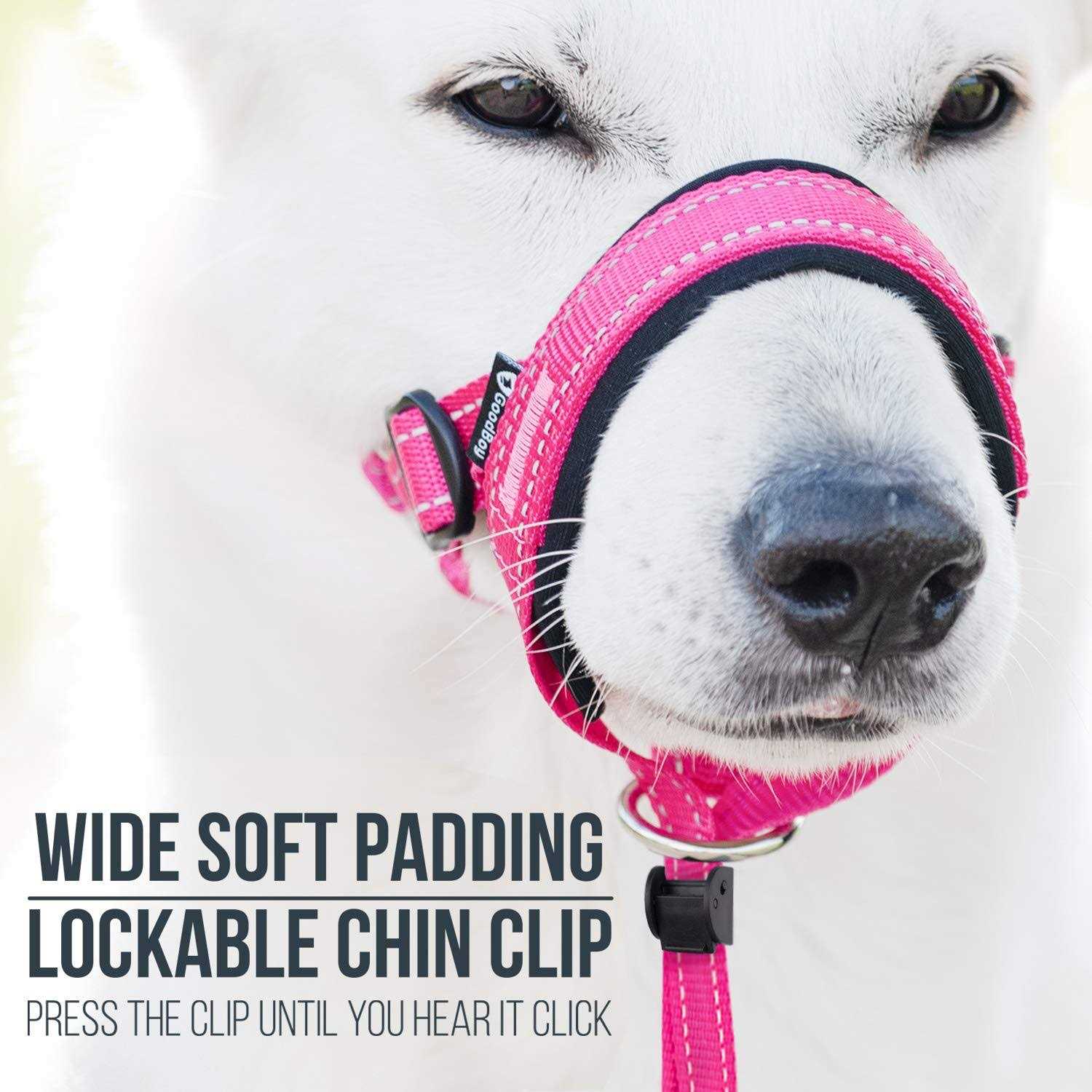 Dog Head Halter with Safety Strap U2534