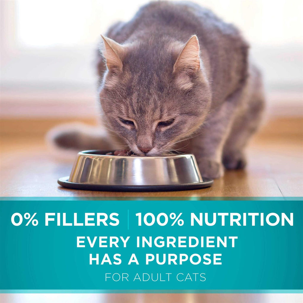 Dry Cat Food P151