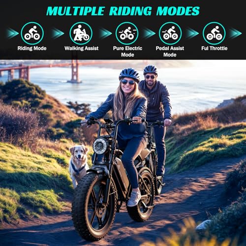 20" Fat Tire All-Terrain Electric Bike 1500W Peak 48V 15/25AH S282600