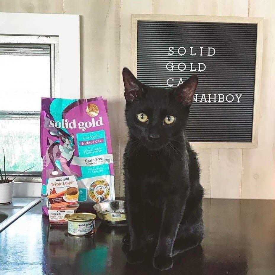 Grain-Free Dry Cat Food J888